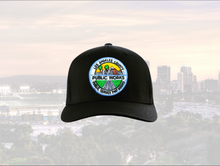 Load image into Gallery viewer, The Public Works